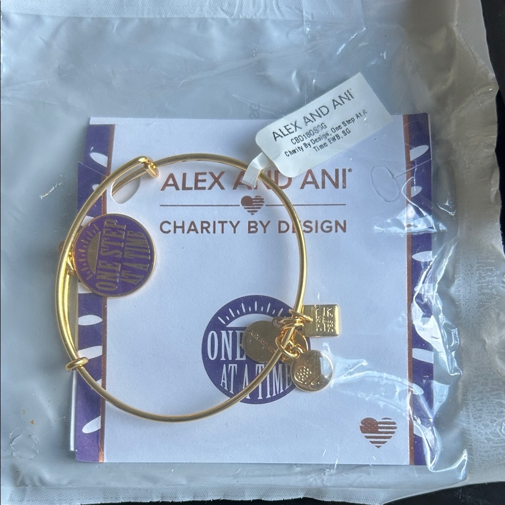 Alex and Ani Gold Charm Bracelet
